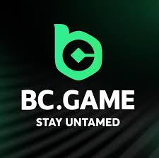 Understanding the BC.Game Sign In Process -224561108