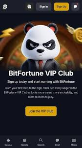 Bitfortune Mobile Review Unleashing Speed for Traders