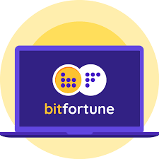 Understanding Bitfortune Coin Payments Ensuring Accurate Deposits