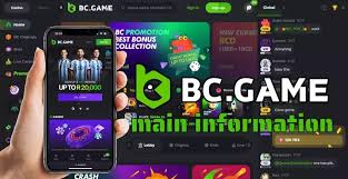 Explore the Thrills of BC.Game Online Casino