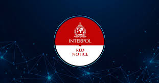 Understanding the Role of Interpol Defense Lawyers 1340634379