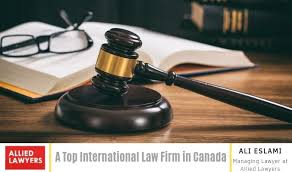 Your Global Partner Understanding the Role of an International Law Firm