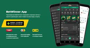 Discover the Thrills of BetWinner Online Casino Discover the Thrills of BetWinner Online Casino