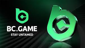 Discover the World of BC.Game Online Crypto Casino