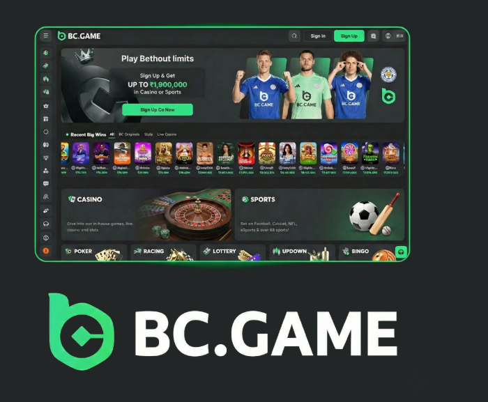 Maximizing Your Rewards The Ultimate BC.Game Bonus Guide Maximizing Your Rewards The Ultimate BC.Game Bonus Guide